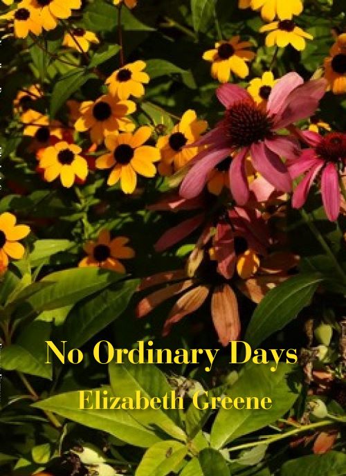 No Ordinary Days